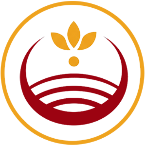 LOGO_dolmasound_Tondo